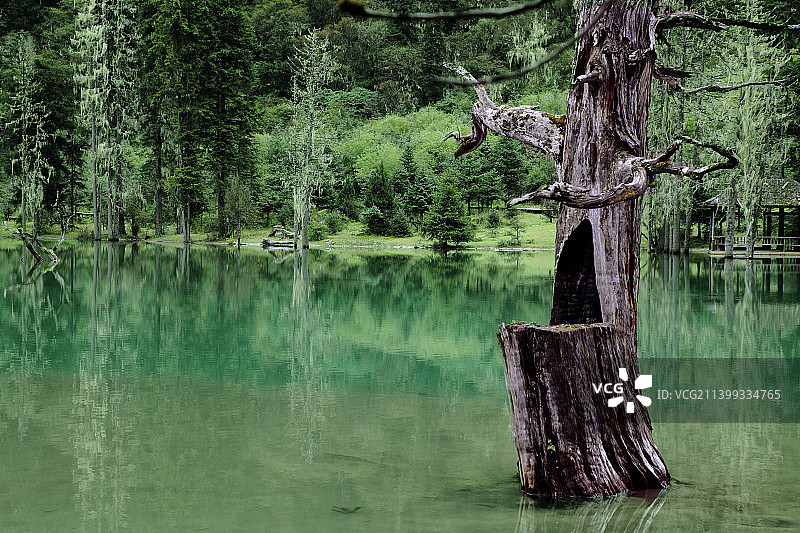 四川阿坝州小金县 “四姑娘山”景区图片素材