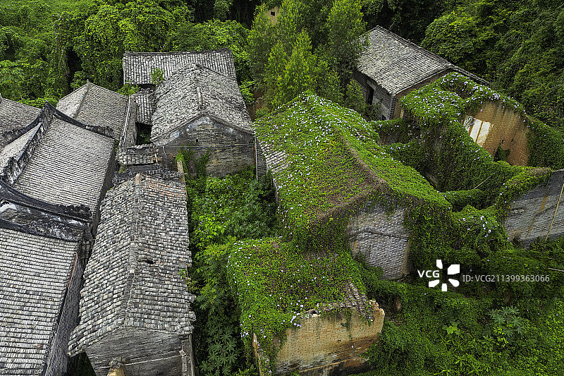 乡下长满小花的破败小屋图片素材