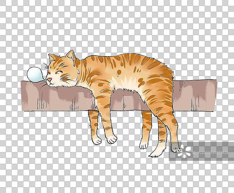 睡着的小橘猫图片素材