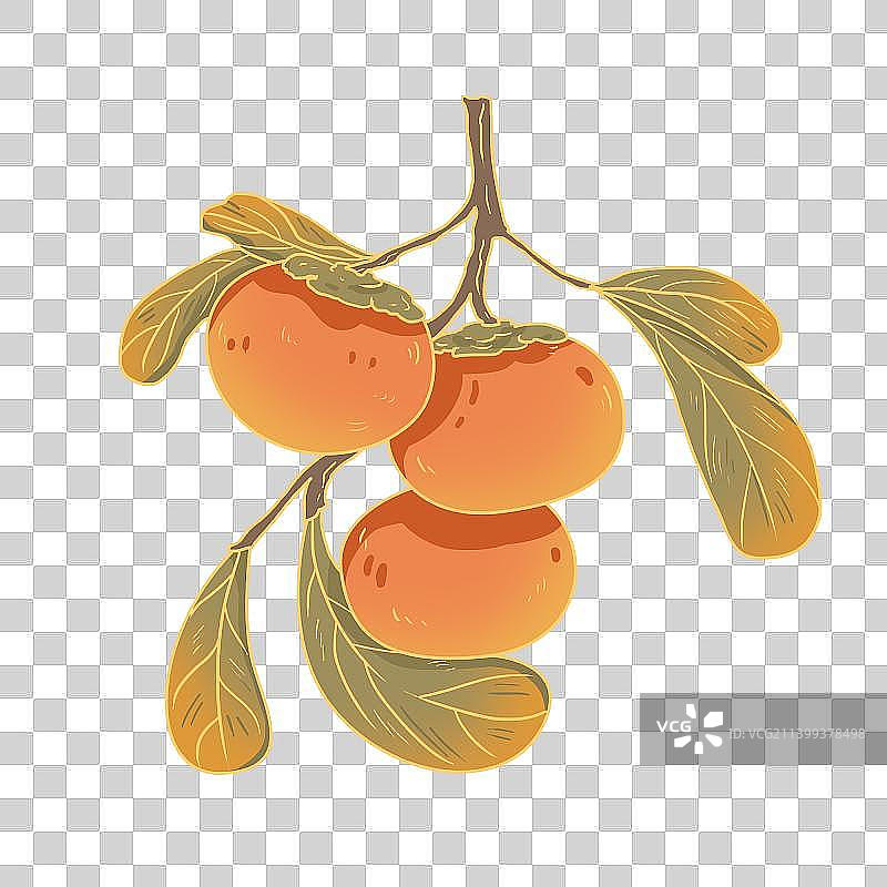 国潮风秋季柿子素材图片素材