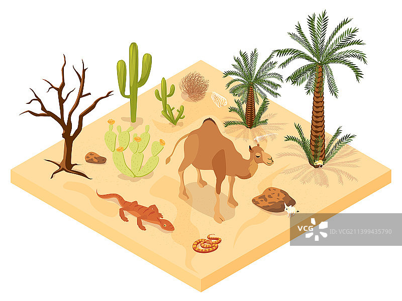 2.5D沙漠景观图片素材