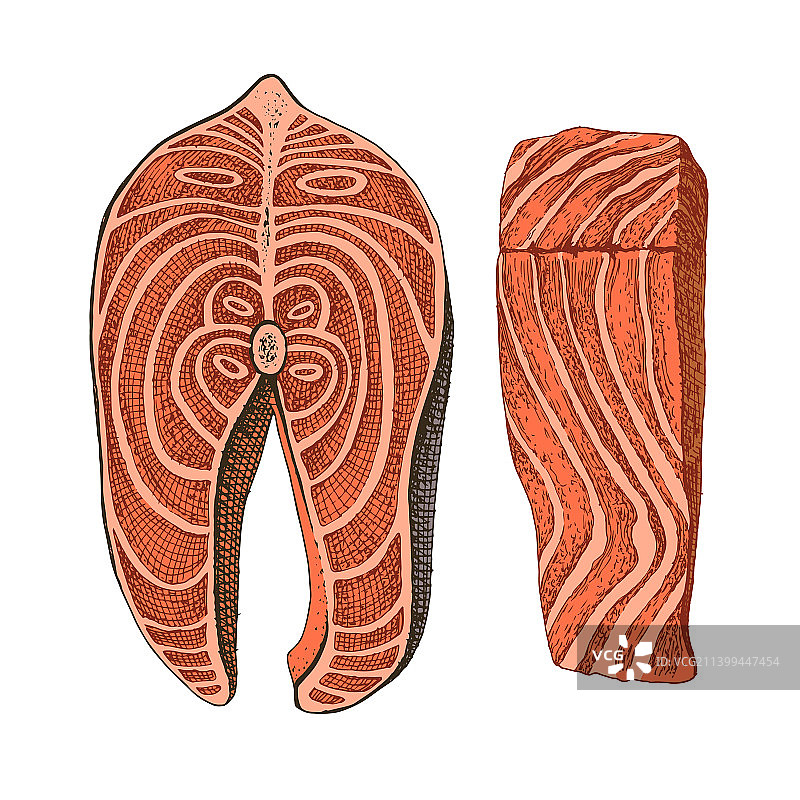 白色背景上的金枪鱼排图片素材