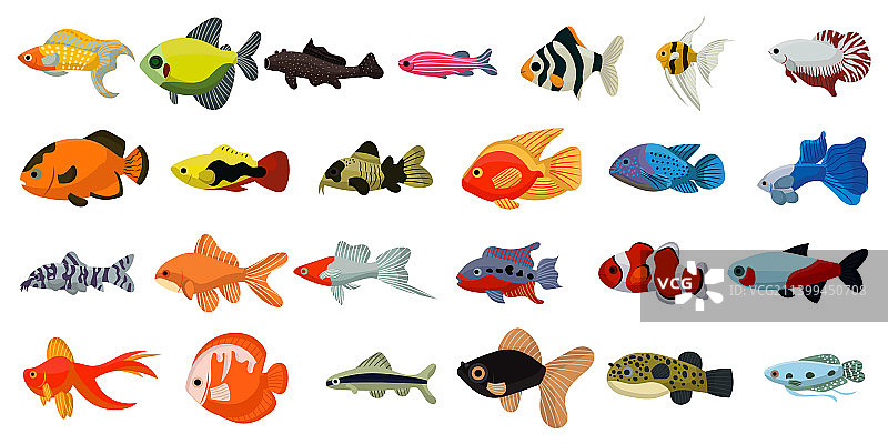 热带鱼卡通海洋可爱水族箱图片素材