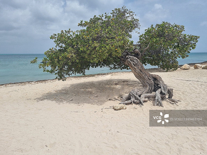 阿鲁巴岛的壮丽景色图片素材
