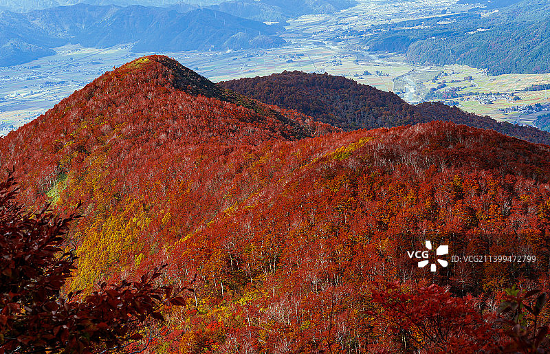 秋季的日本山景图片素材