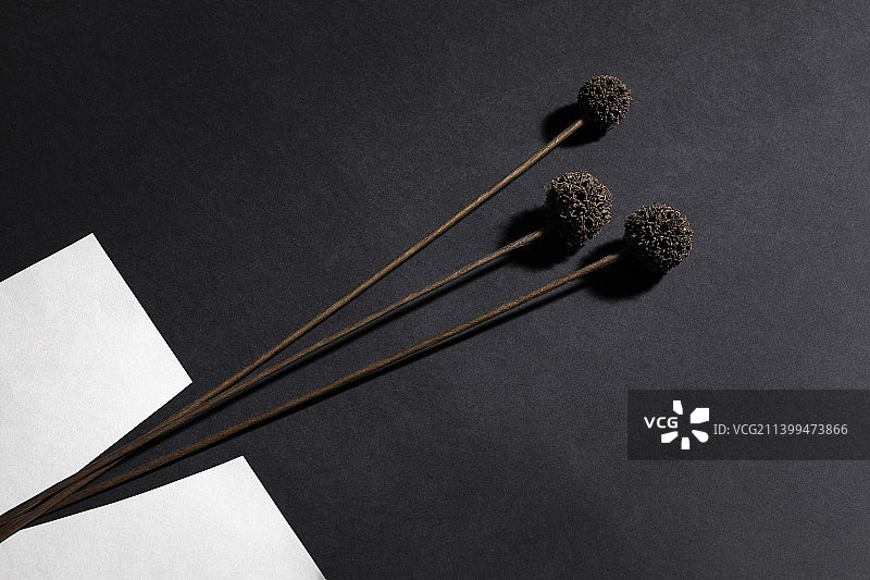 黑色背景上的黑白简约风干树枝和白纸图片素材