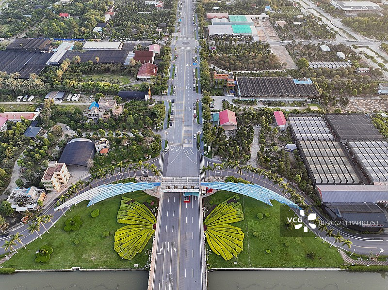 陈村花卉世界图片素材