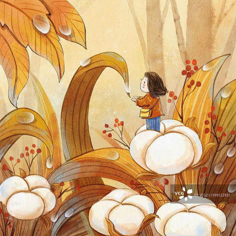 白露节气之棉花植物女孩水彩治愈系图片素材