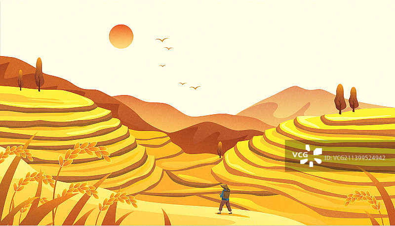 矢量质感梯田田园风景插画横版3图片素材