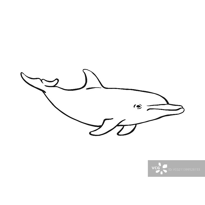 手绘海豚图案图片素材