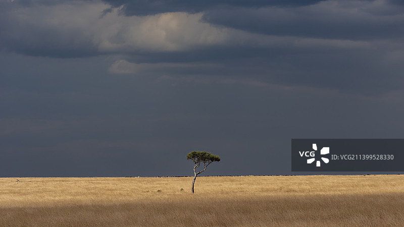 天空衬托下的风景图片素材