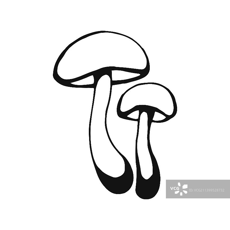 手绘蘑菇轮廓线条艺术风格图片素材