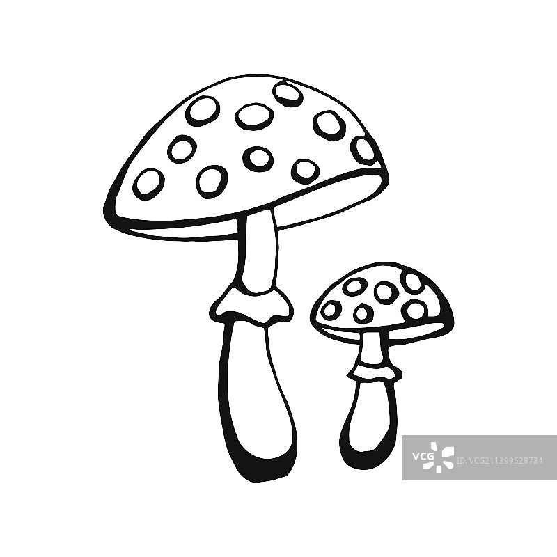 手绘蘑菇轮廓线条艺术风格图片素材