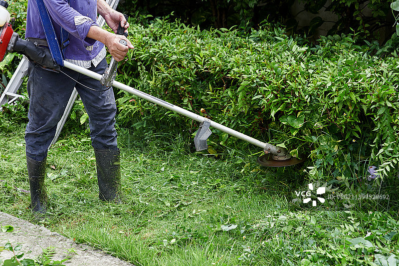 工人在花园里用汽油割草机修剪高草图片素材