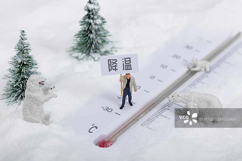 微缩创意下雪降温北极熊与温度计图片素材