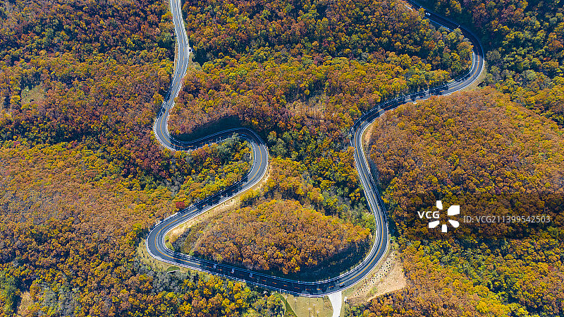 秋日公路美景图片素材