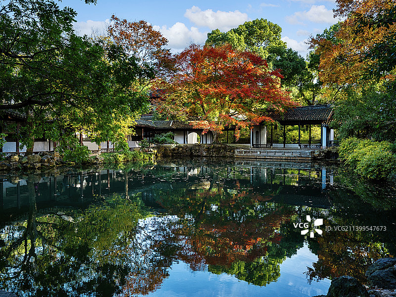 秋日红叶图片素材