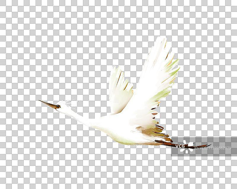 秋天白鹤飞鸟白鹭图片素材