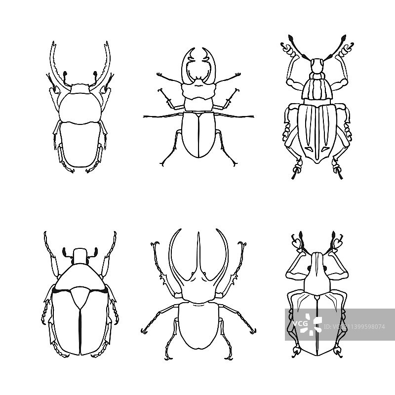 甲虫轮廓简笔画素材集合图片素材
