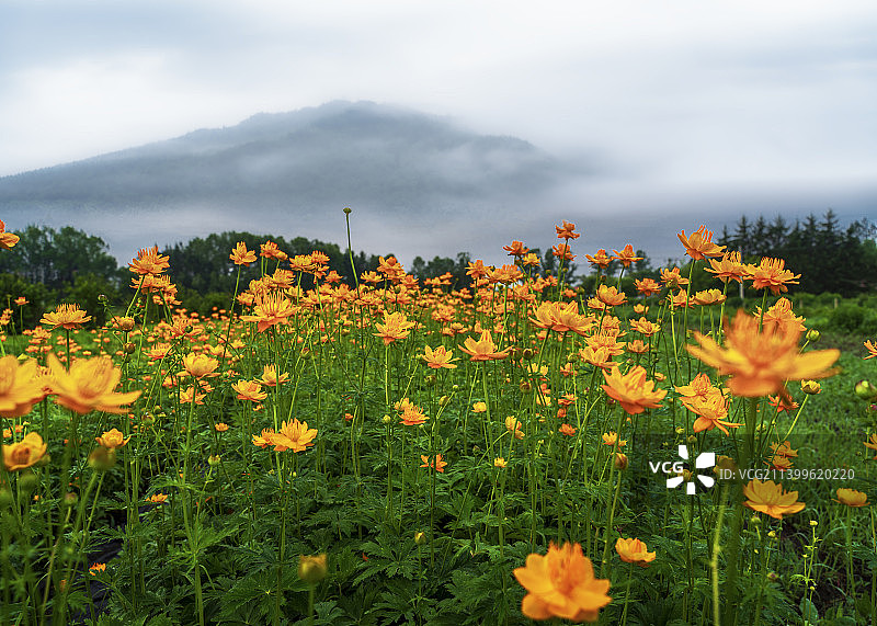 五营之晨图片素材