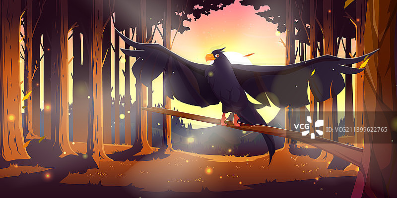 日落时分，有黑乌鸦的针叶林图片素材