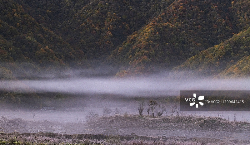大九湖晨雾图片素材