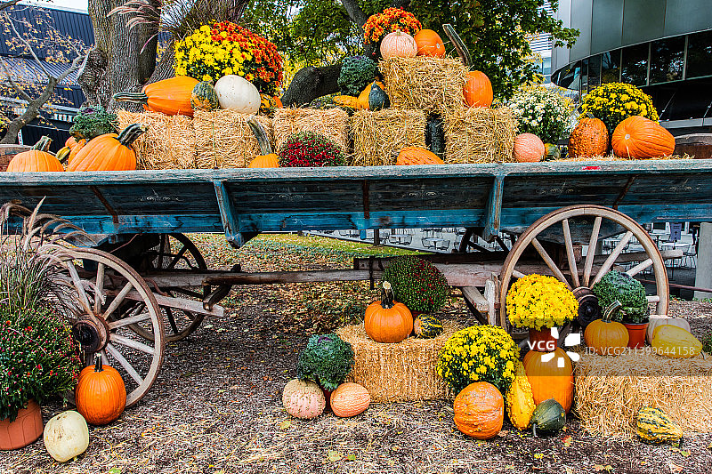 万圣节的室外装饰图片素材
