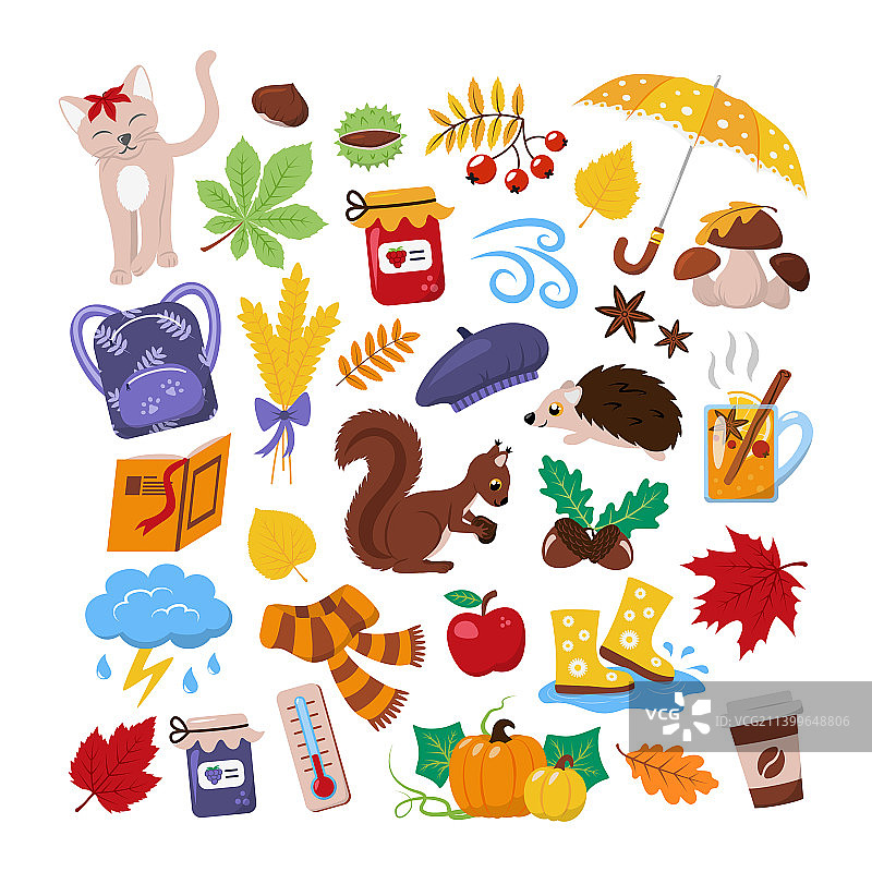 秋季物品合集图片素材
