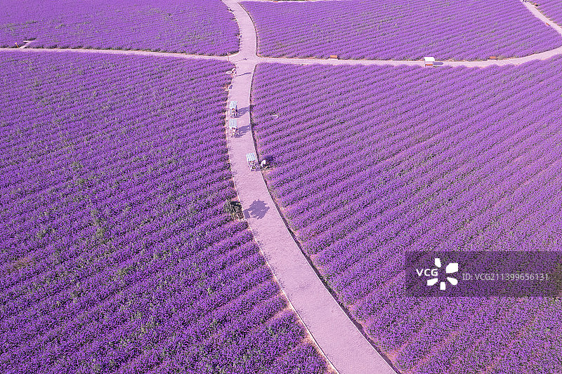 20220717-DJI_0835(1)图片素材