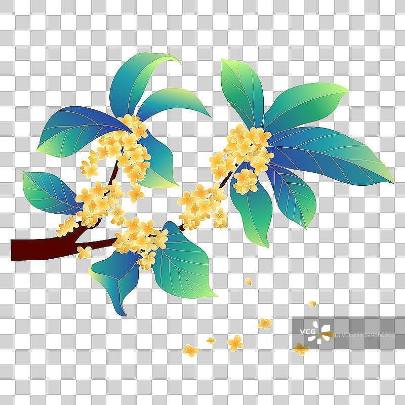 中秋桂花国潮插画图片素材