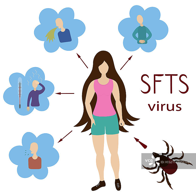 SFTS病毒的感染途径及其症状图片素材
