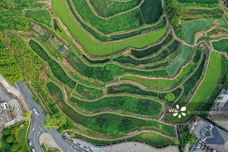 临安指南村梯田图片素材