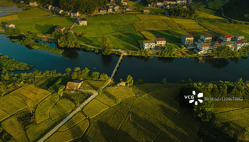 沾溪二岸稻飘香图片素材