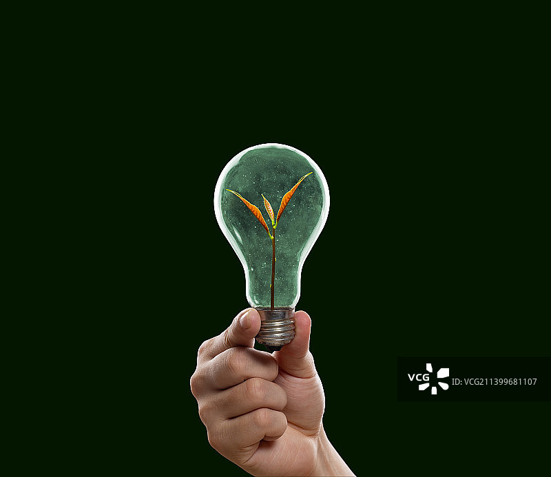 创意灯泡幼苗节能环保海报图片素材