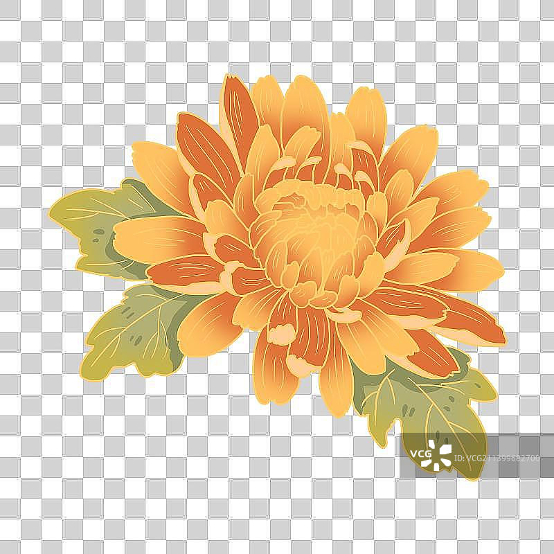 国风国潮秋季菊花素材图片素材