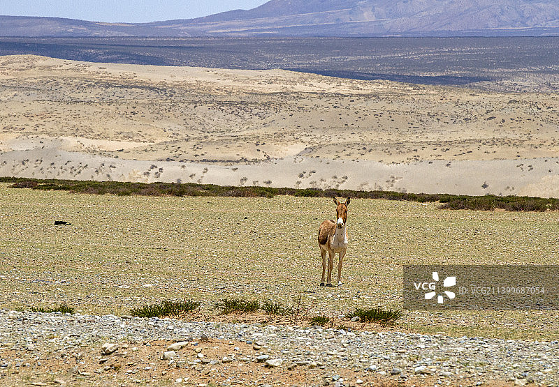 阿里普兰县冈仁波齐到札达县沿途风光图片素材