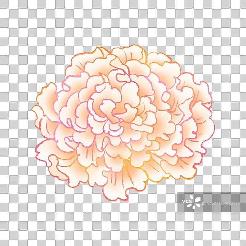 银耳插画元素图片素材