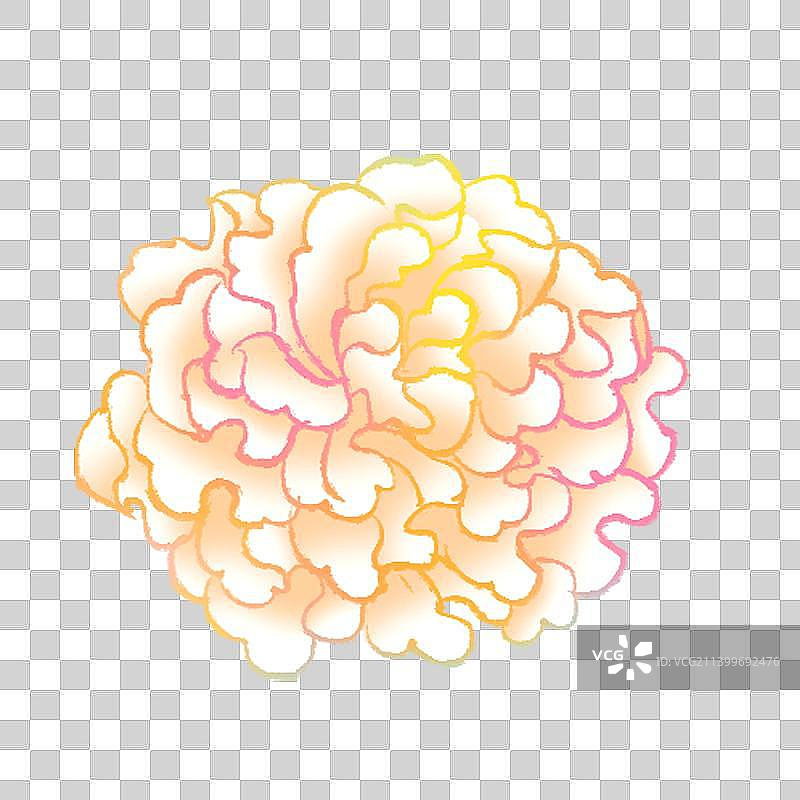 银耳插画元素图片素材