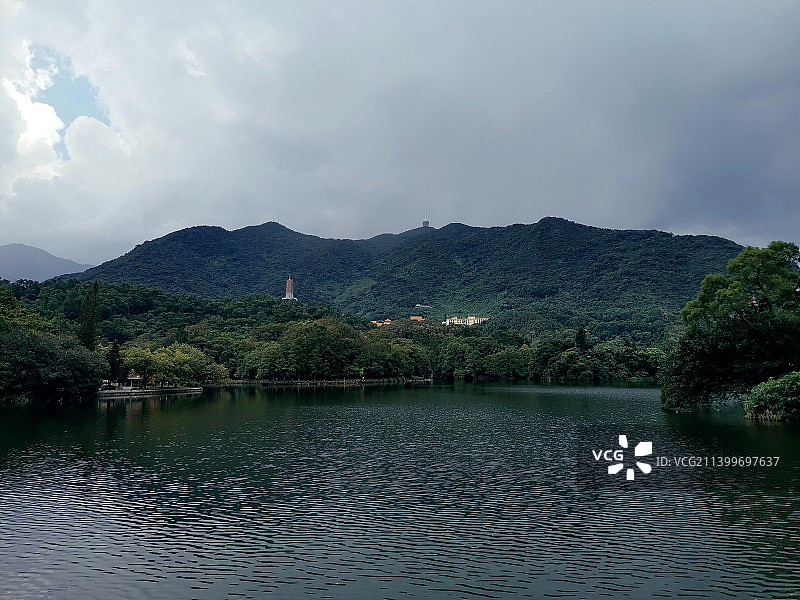 深圳仙湖植物园中的山水画图片素材