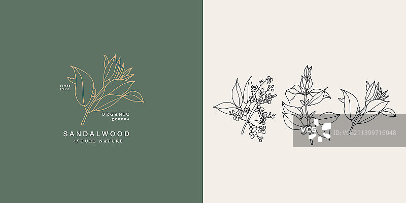 檀香木树枝复古素材图片素材