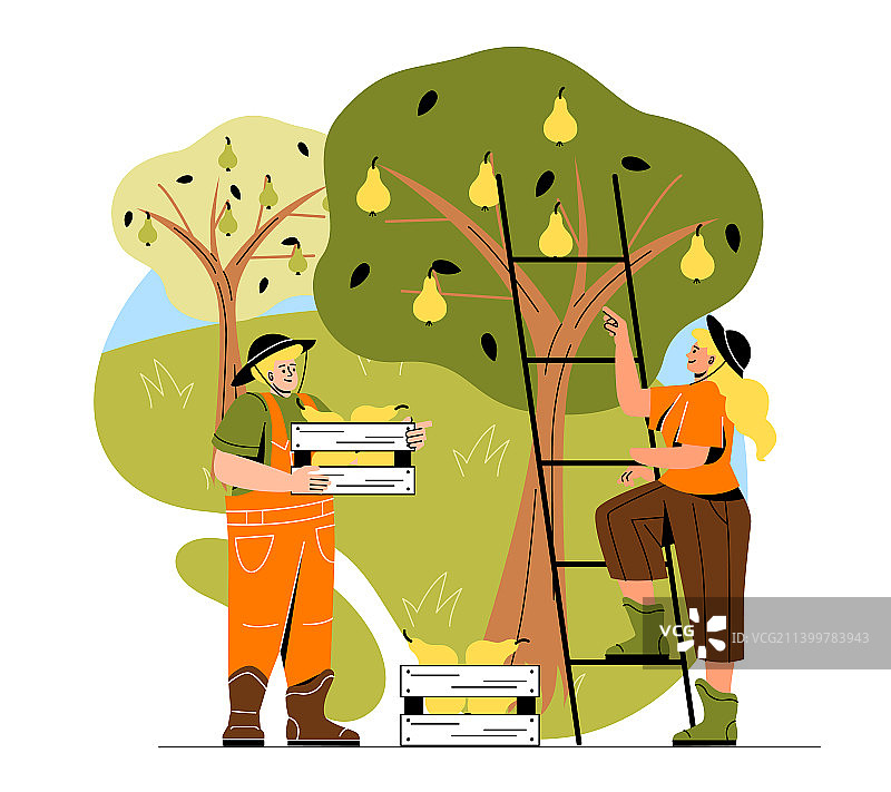 人们采摘新鲜的农作物图片素材