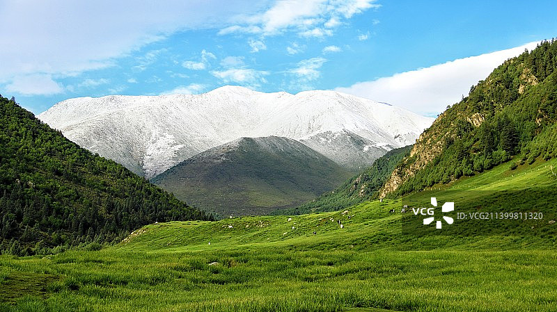 蓝天白云下的雪山 冰沟河景区图片素材