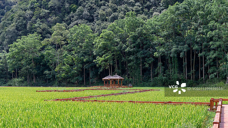 高荡千年布依古寨图片素材