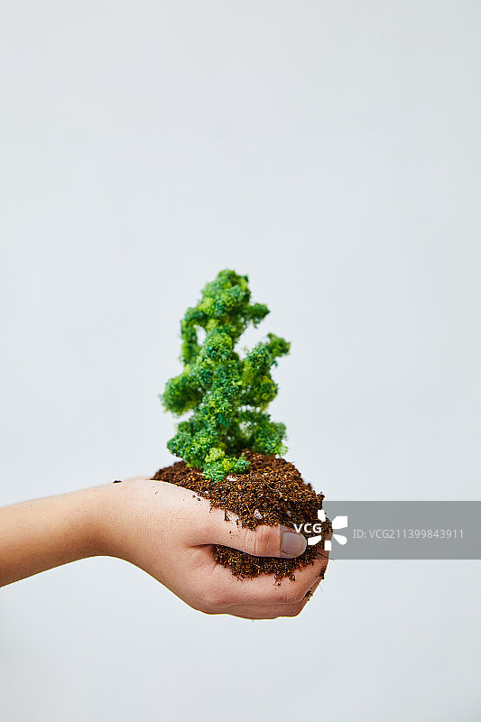手与环境保护、ESG、碳中和概念图片素材