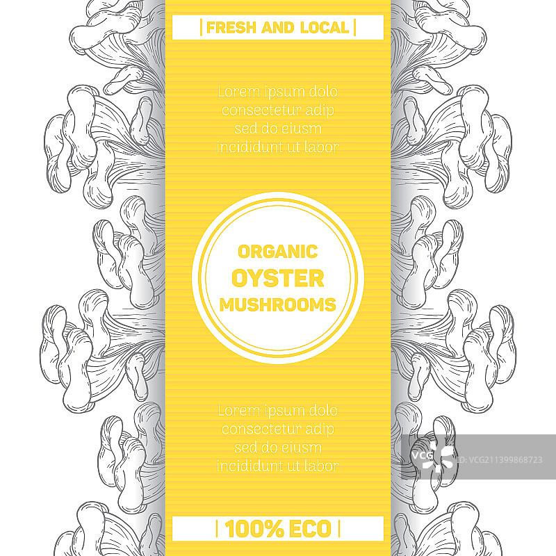 有机平菇包装模板图片素材