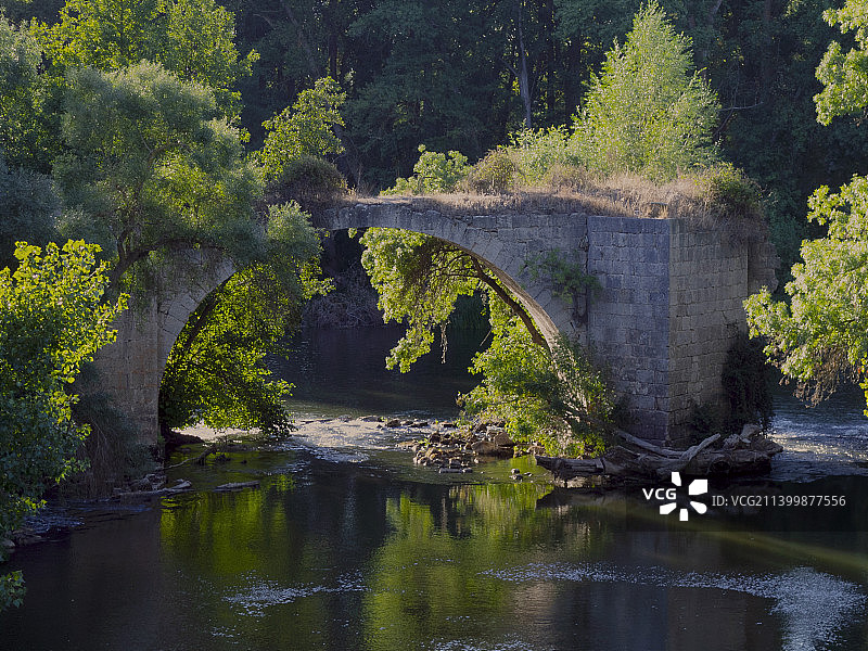西班牙帕伦西亚雷诺索德塞拉托森林中的河流美景图片素材