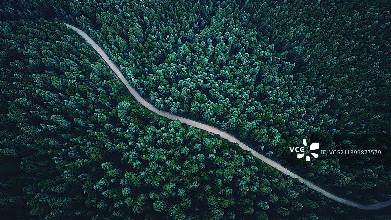 美国华盛顿州纽卡斯尔森林中的公路鸟瞰图片素材