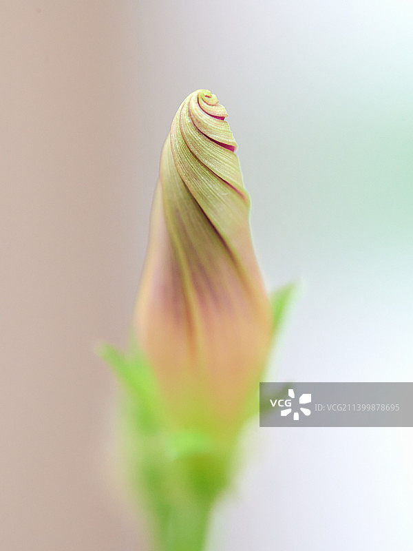 店铺已结束晚间营业图片素材