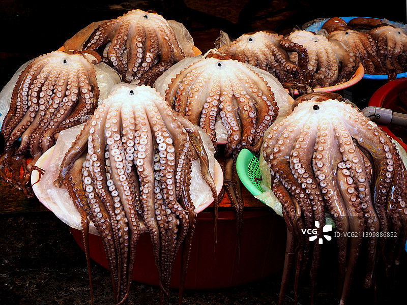 市场上待售海鲜的特写图片素材