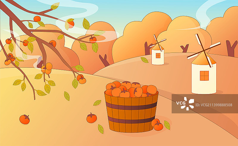 秋天户外节气柿子水果丰收矢量插画海报图片素材